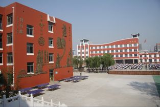 博兴县第一小学 展示博爱教育励师生 文明新风溢校园