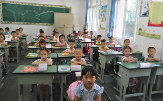 携手启航向未来 黄许博爱小学与仁爱小学联合举办一年级新生培训活动